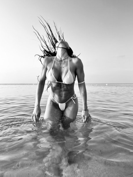 Rebel Rebel adult star image