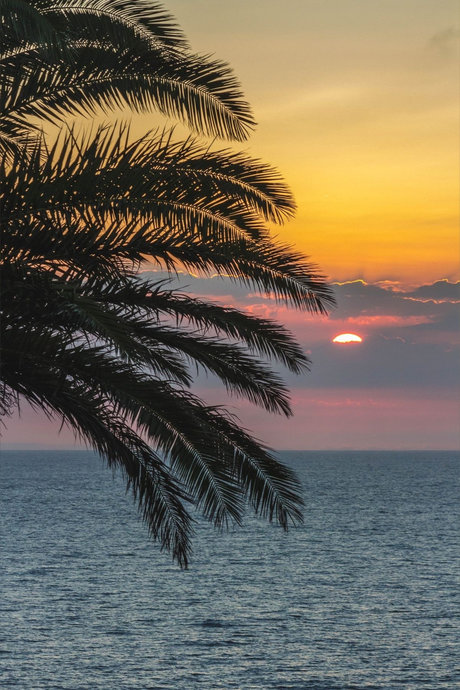 Princess Rea pornstar hd pic