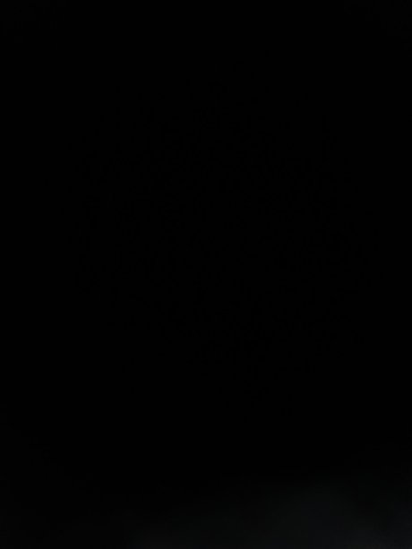 Rone star pornographic gallery