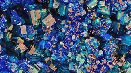 rollforseduction star porn picture