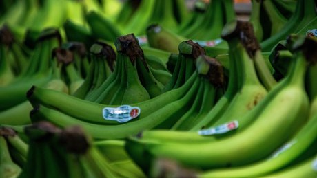 Robert Fretz pornstar adult photos