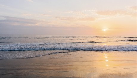 Robert f exclusive actress archive