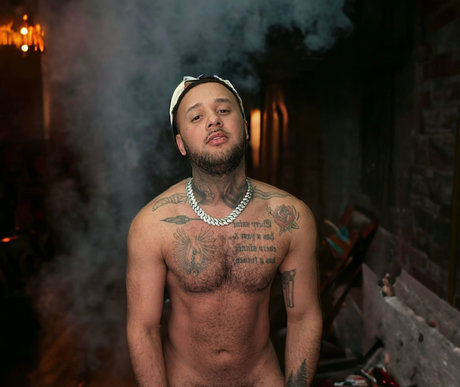 Risto top pornstar galleries