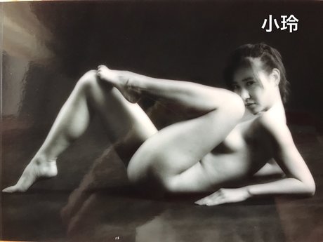 Rinmeirin model top image