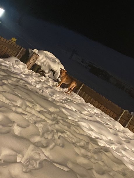 Riiim6 beautiful star pictures