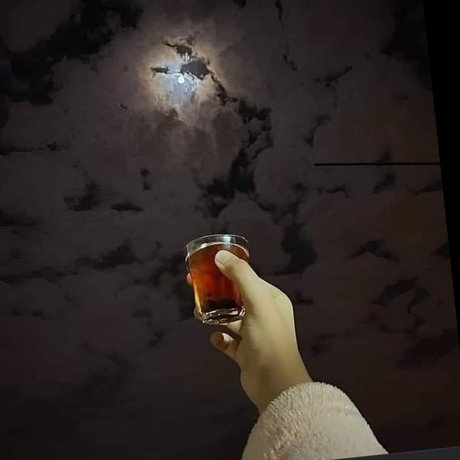 Gata nude actress pic