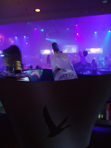 Ruben O porn actress galleries