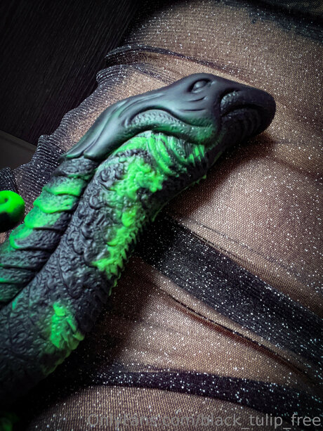 rubber tulip art star gallery