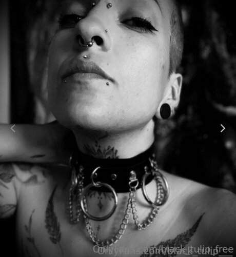 rubber tulip nude pornstar galleries