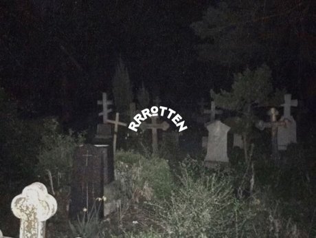 Corpse Bride star xxx images