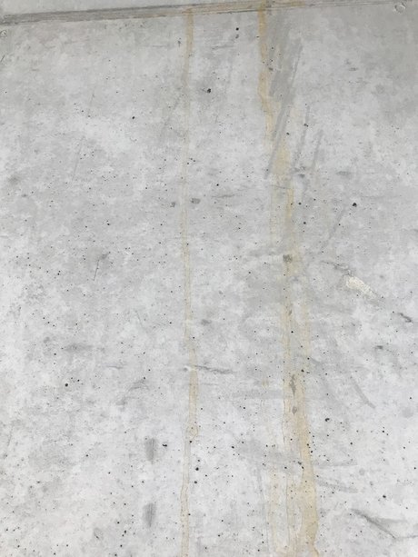 Rauli top actress gallery