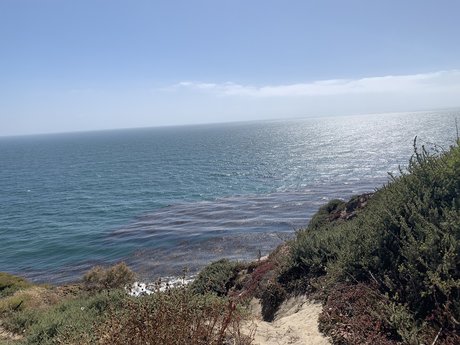 Ian Rios nude model pictures