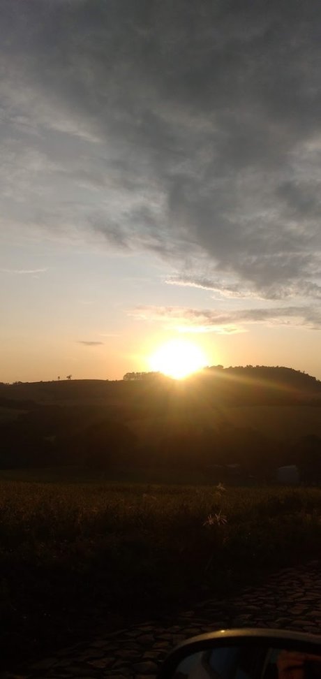 Rose veres star pornographic pictures