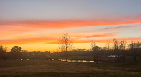 Rose Ink hot pornstar picture