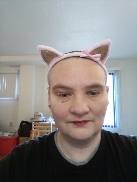 RoseBlades star hd image