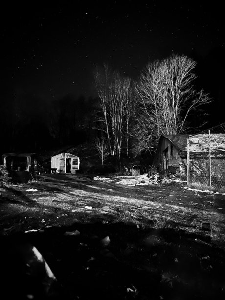 _saltyexhibitionistdad beautiful star pictures