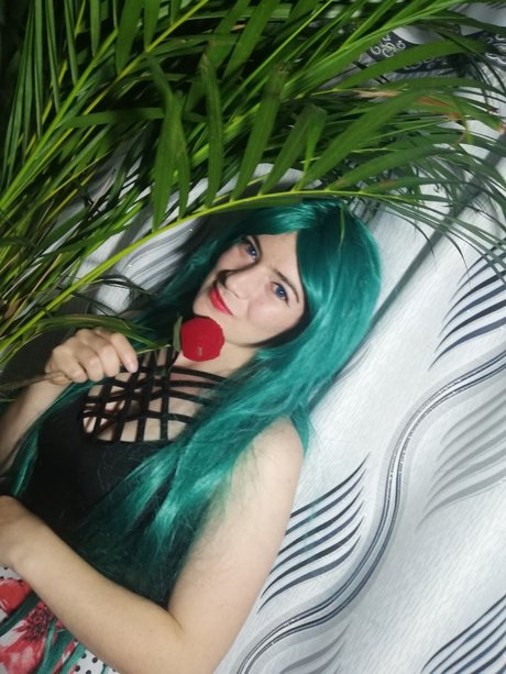 Sakura 29 star exclusive archive