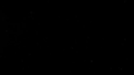 Busty Babe_ star xxx pic