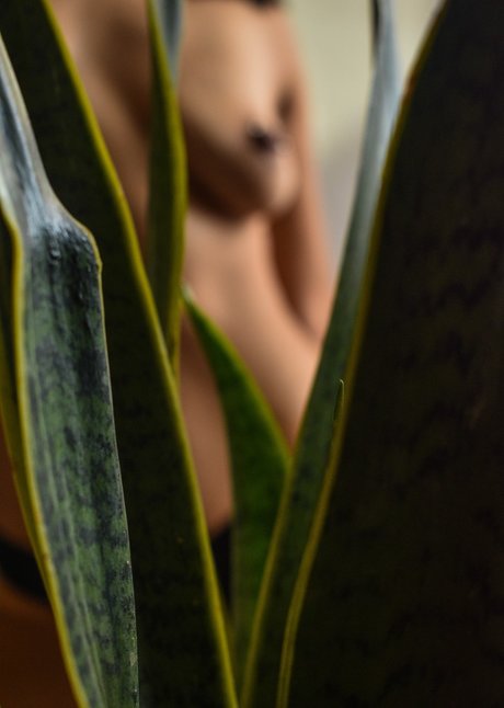 Sailor Meow free pornstar archive