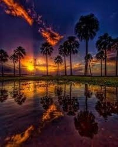 SaftigerDaddy hd actress photo