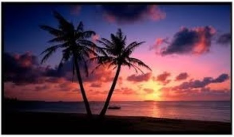 SaftigerDaddy pornographic star picture