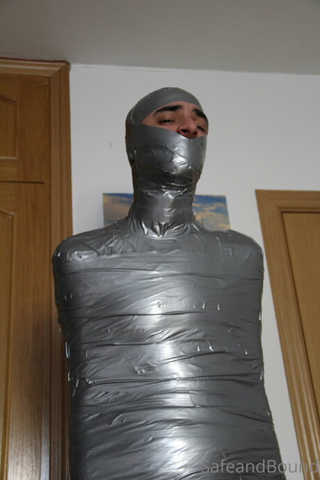 Safe and Bound perfect model pics