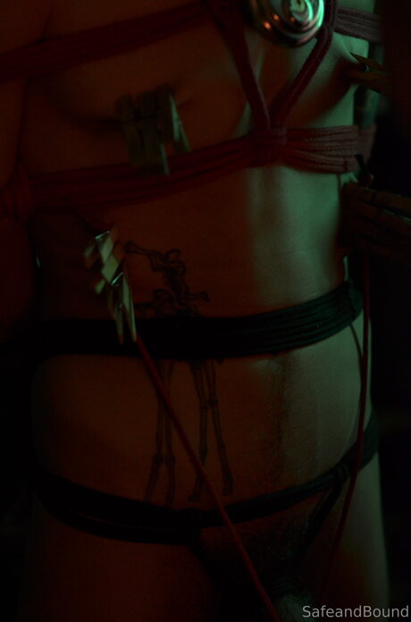 Safe and Bound star beautiful picture