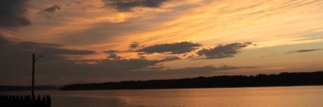 SafariKyle star perfect gallery