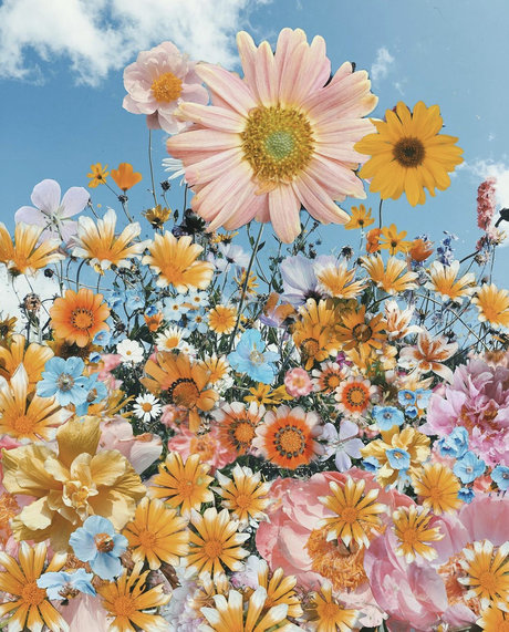 sadgrrlx star gallery