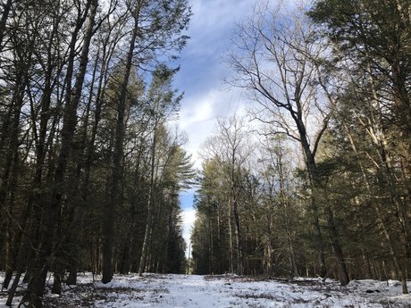 sabby star porn picture