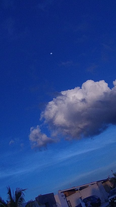 Blue Sky porn actress pictures