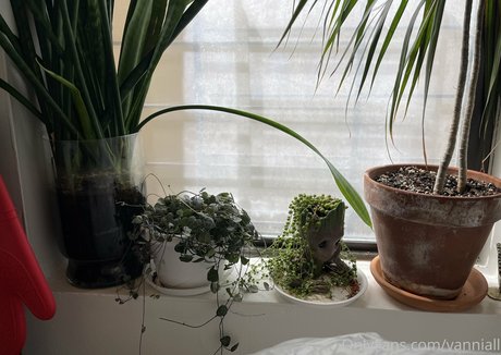 Vanniall model erotic galleries