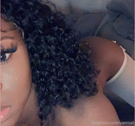 Vanniall star art picture