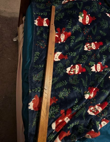 bigbellyjudy porn star galleries