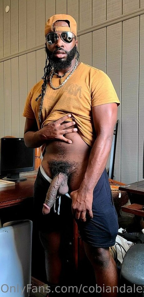 cobiandalex art star pics