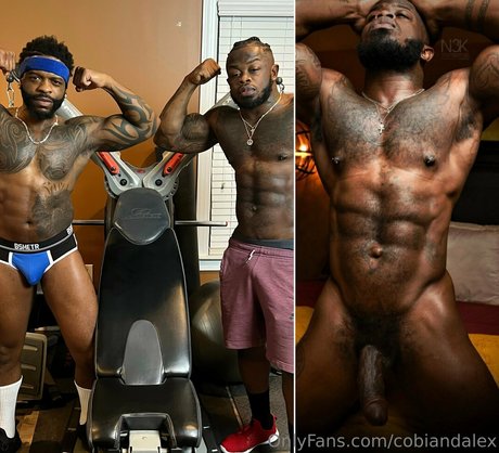 cobiandalex nice pornstar gallery