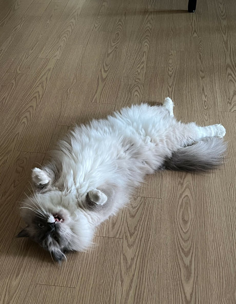 hinachan01 top pornstar pictures