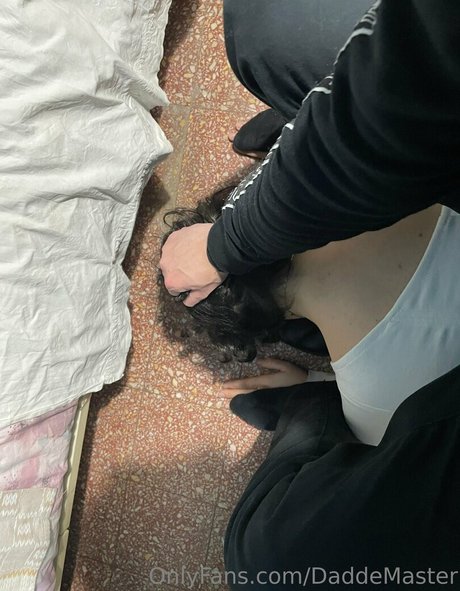 daddemaster model images