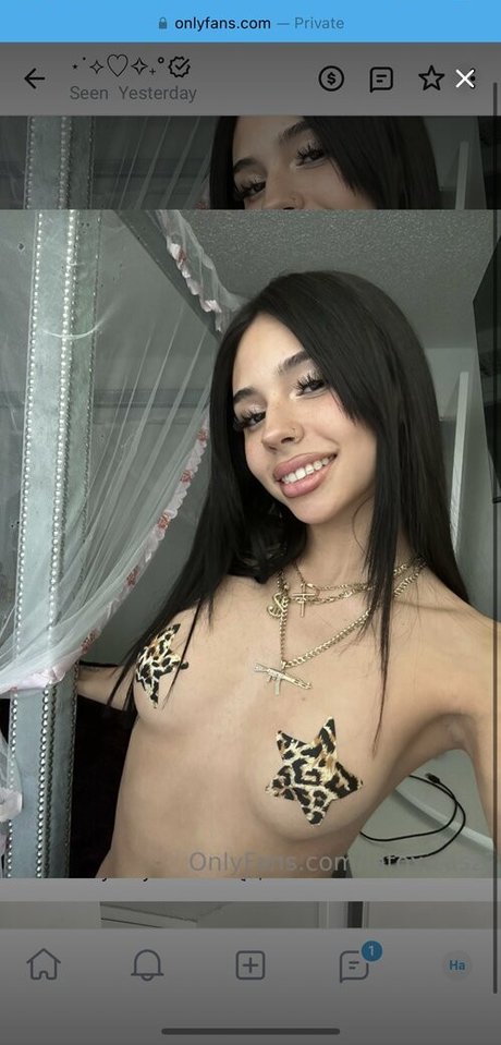 notreiina star art picture