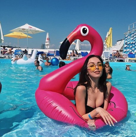 by owl star free pic