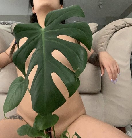 asia asahi Profile pic