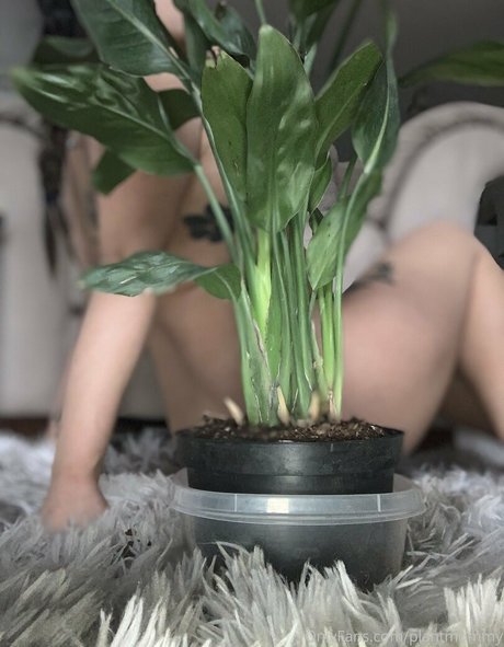 asia asahi exclusive model img