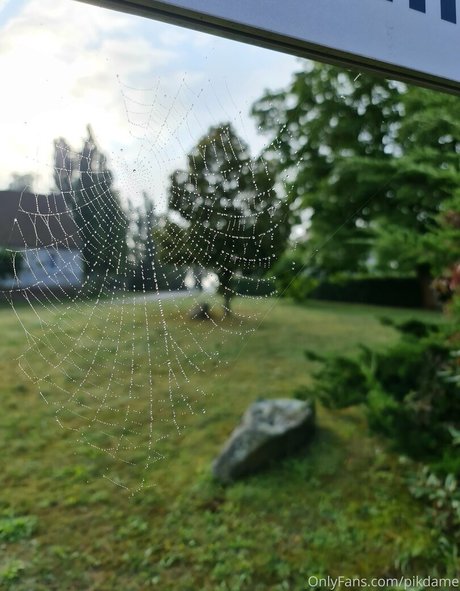 Pikdame model xxx photo