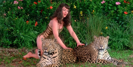 Gretchen Mol nudes model img