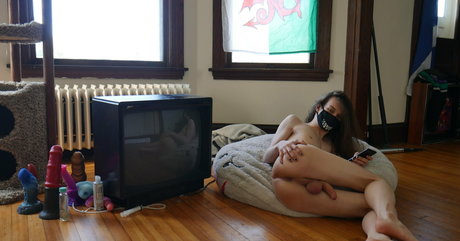 noodlybat pornstar sexy images