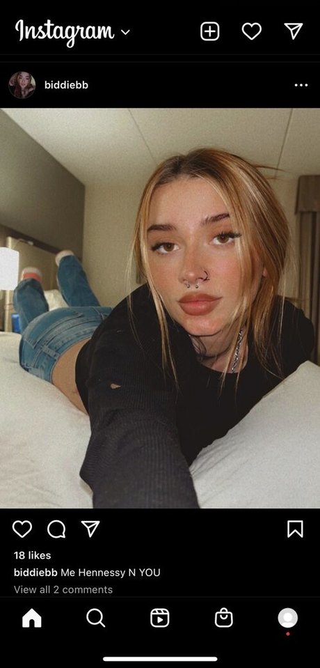 Biddiebb model top gallery