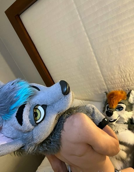 naughty wolves star beautiful pictures