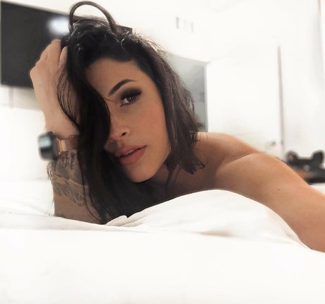 hales nice star archive