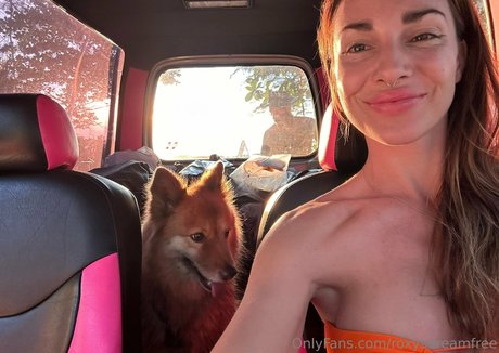 roxysdreamfree pornstar img