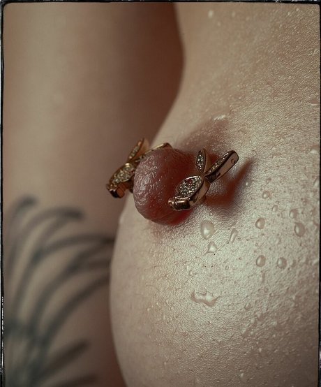 AsiaLily perfect star images